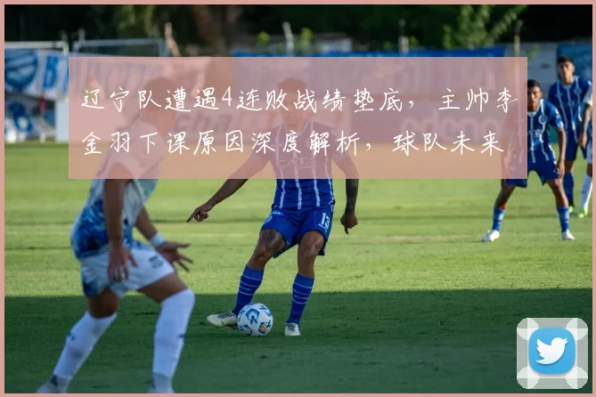 辽宁队遭遇4连败战绩垫底，主帅李金羽下课原因深度解析，球队未来调整方向探讨