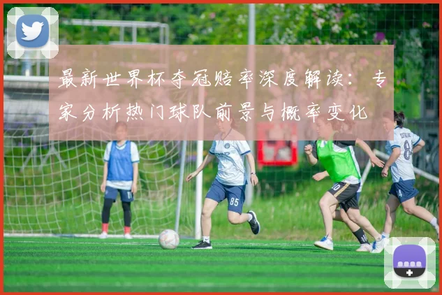 最新世界杯夺冠赔率深度解读：专家分析热门球队前景与概率变化