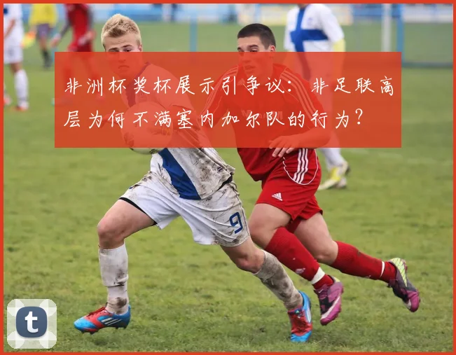 非洲杯奖杯展示引争议：非足联高层为何不满塞内加尔队的行为？